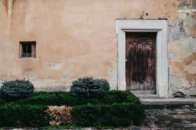 Фото: Darya Tryfanava FOR UNSPLASH