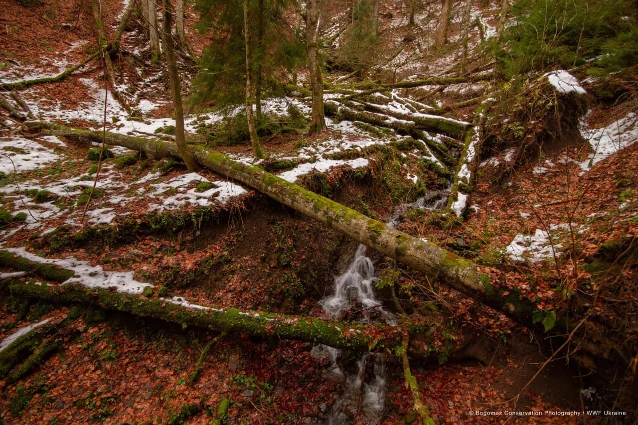Фото умовне