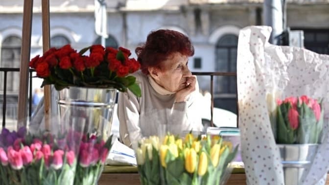 У центрі Львова невдовзі стартує сезон продажу квітів