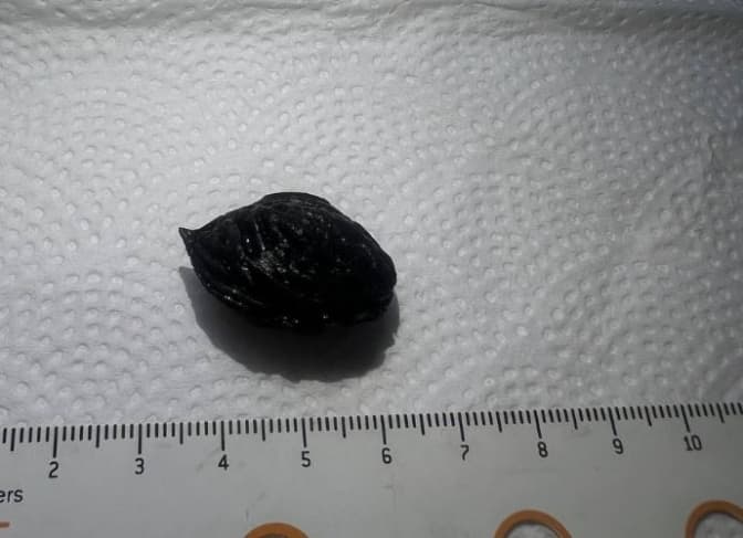 фото: Університетська лікарня ЛНМУ імені Данила Галицького