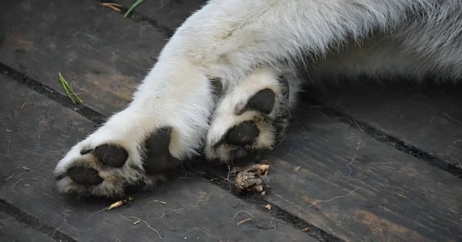 фото умовне