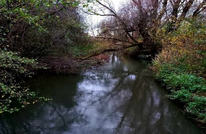 фото умовне