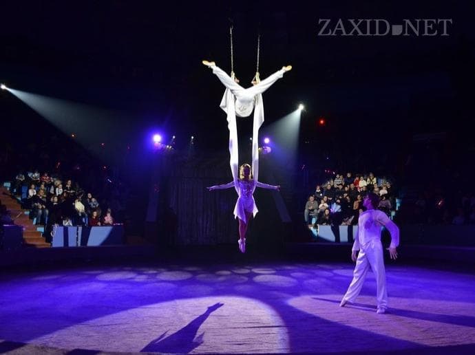 Діти-сироти зможуть безкоштовно відвідати мандрівний цирк у Львові