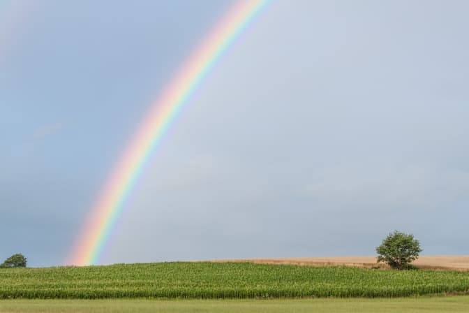 фото: Alain d'Alché by unsplash