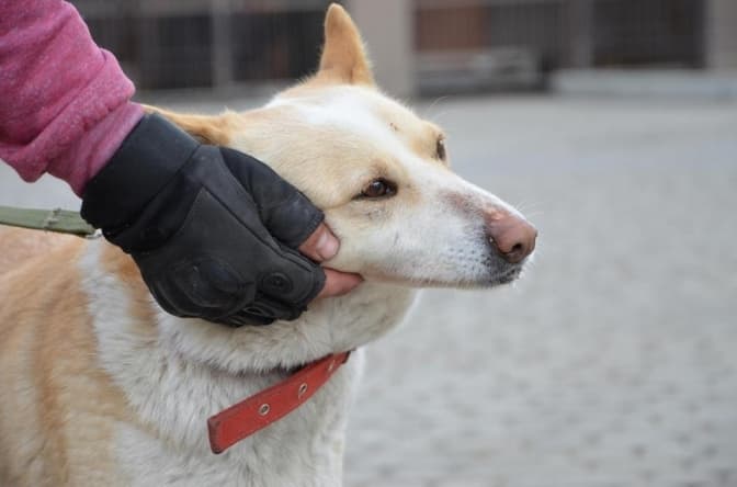 Фото умовне