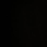 Ірена Петрова