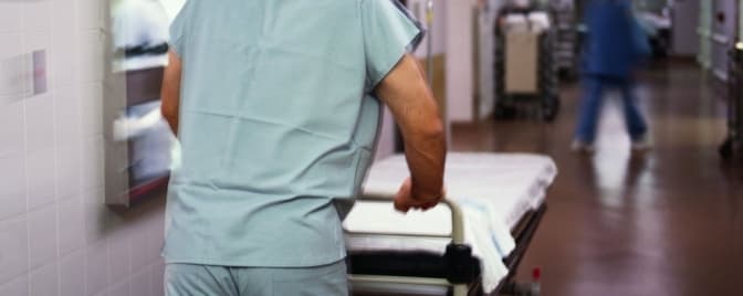 Фото: З відкритих джерел