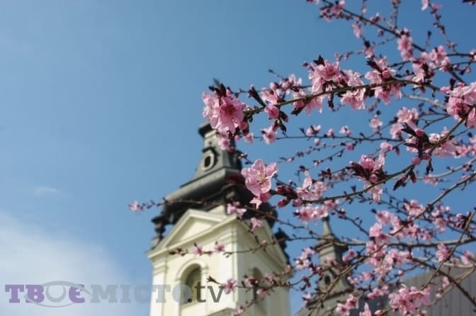 Up to 14°C during the day: weather forecast in Lviv for March 23
