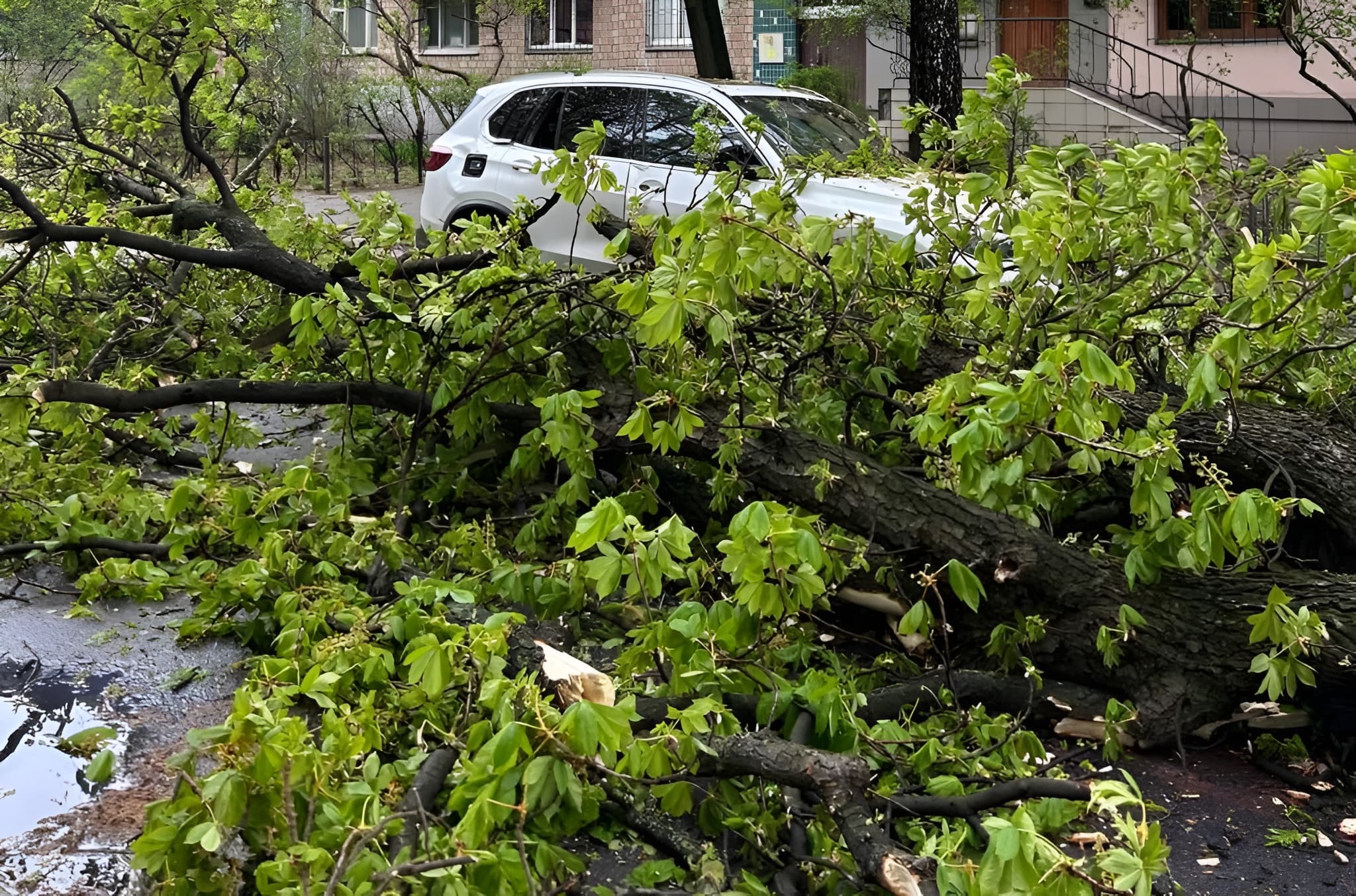 Фото: КИЇВ24