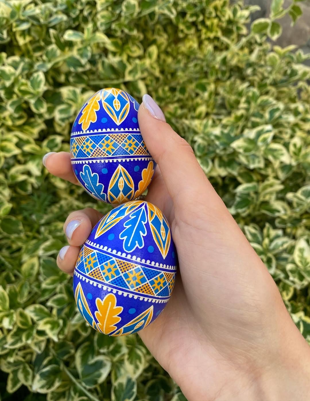 "Україна переможе" - писанки від Аліни Лесичної