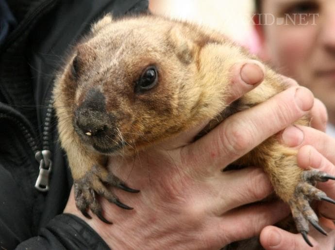 Весна у Львові почнеться у квітні