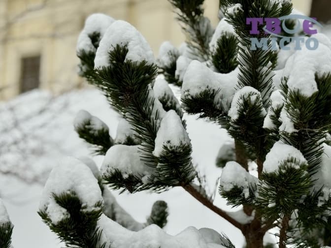 Мокрий сніг і ожеледиця: прогноз погоди на 29 січня на Львівщині