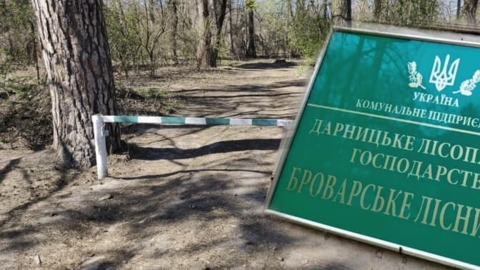 Київрада оголосила частину Броварського лісу ландшафтним заказником