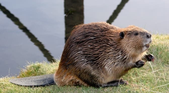 Ілюстративне фото / з відкритих джерел