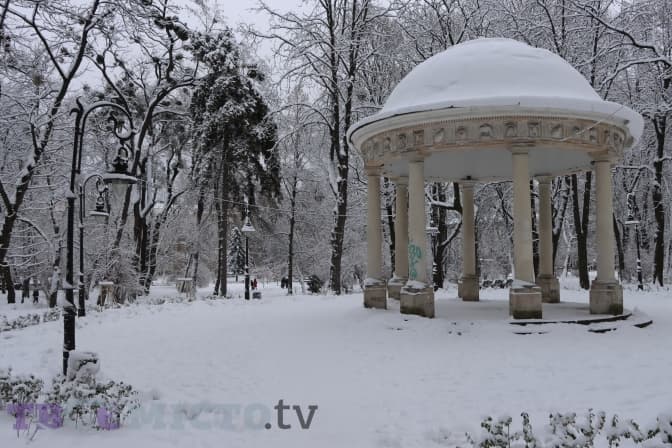 Фото: Анни Чистякової