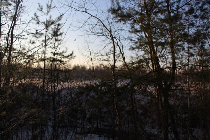 «Торфовище Білогорща» увійшло до переліку заповідних об’єктів Львівщини