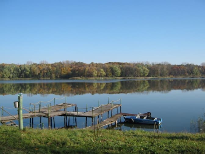 Комісія ЛОДА у виділенні землі поблизу Наварії порушень не виявила