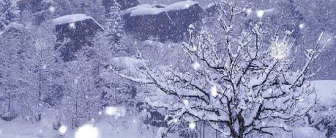 На вихідних у Львові сніг і хуртовина