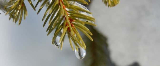 Фото: meteoprog.ua