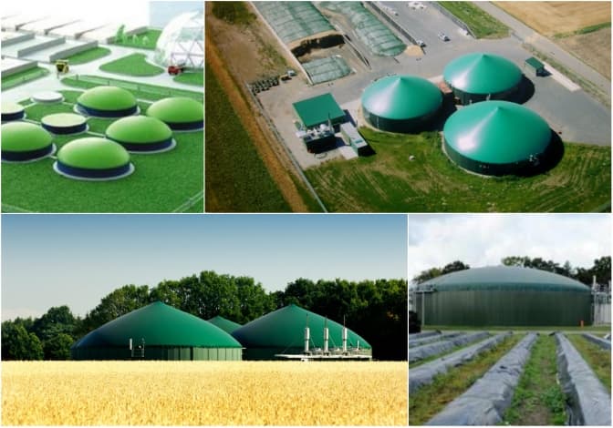 Сморід не зникне. Що насправді дасть Львову біозавод?