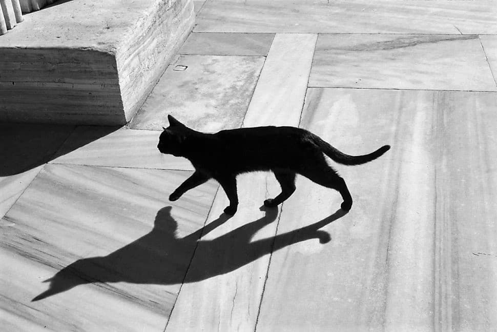 Тьху-тьху-тьху. Чому забобони уживаються зі смартфонами