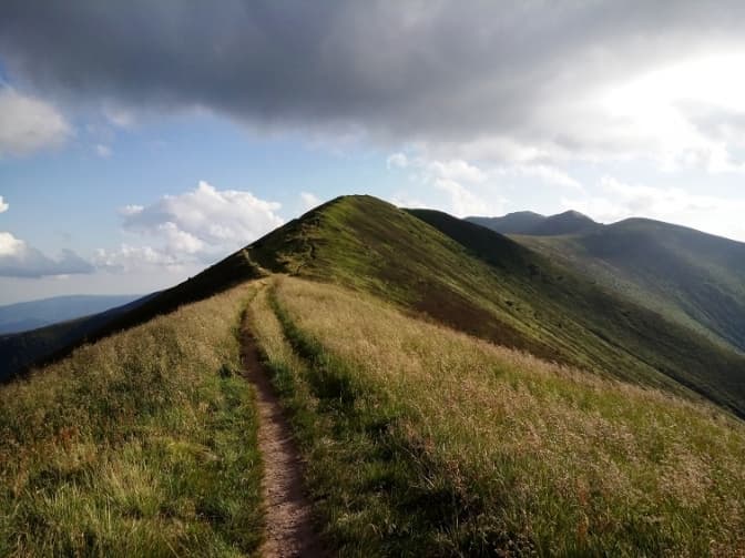 Справу про забудову Полонини Боржава розглянуть на Комітеті Бернської конвенції