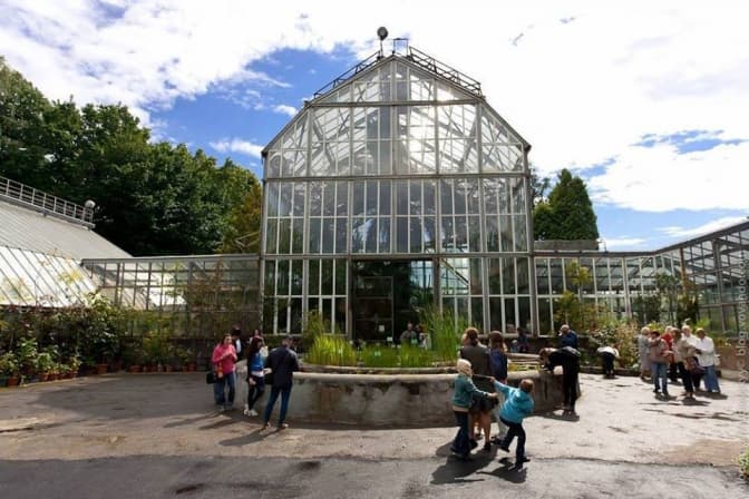 фото: facebook-сторінка Ботанічного саду ЛНУ ім. Франка