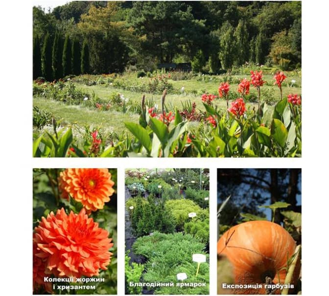 Три причини піти в неділю у львівський ботсад