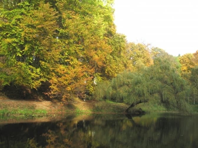 Фото: Ботсад ЛНУ імені Івана Франка