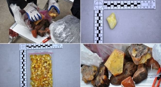 фото: bialapodlaska.scelna.gov.pl