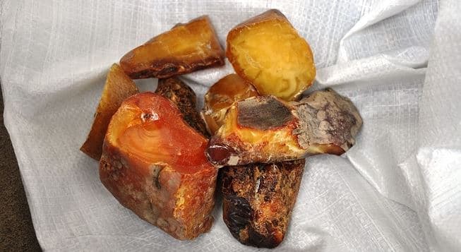 У жителя Львова вилучили майже 90 кг бурштину. Відео