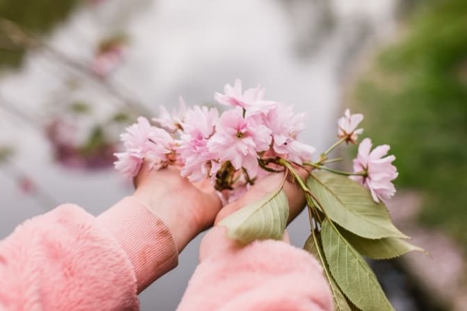 Фото: Lena Borge for unsplash