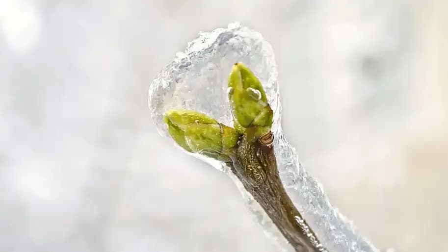 Фото умовне