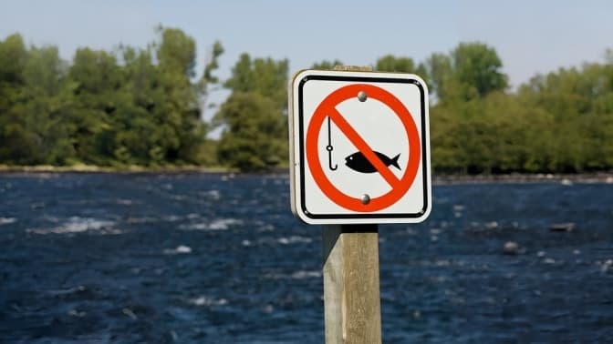 З 1 листопада діє заборона на вилов риби на водоймах Києва та області