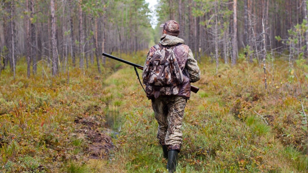 Ілюстративне фото