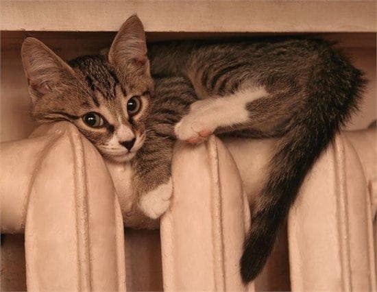 Фото: mareholga.livejournal