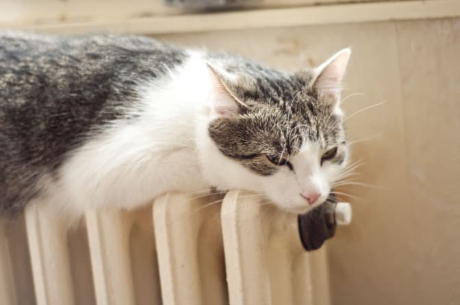 Фото: deviantart.com