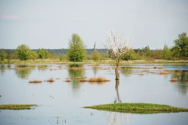 На Львівщині очікуюють підняття рівня води у річках