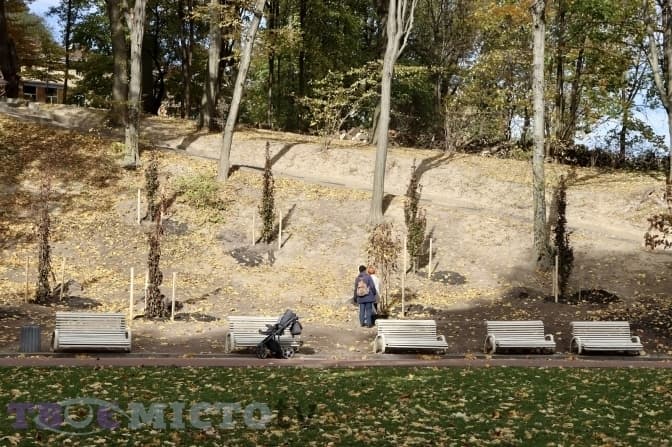 Якою буде погода на початку тижня у Львові