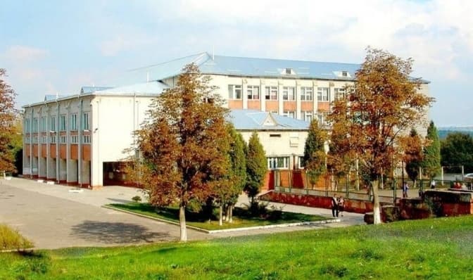 Інвестор виділив 5 мільйонів на ремонт спортмайданчика в ліцеї «Львівський»