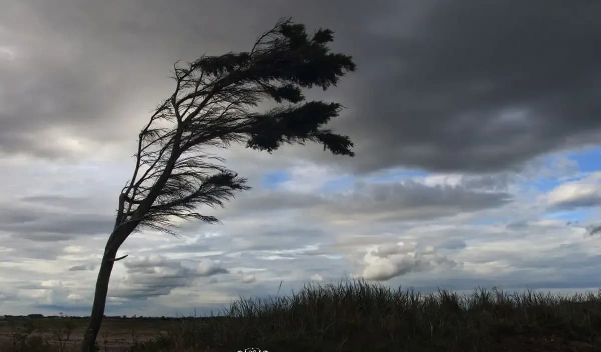 Фото умовне