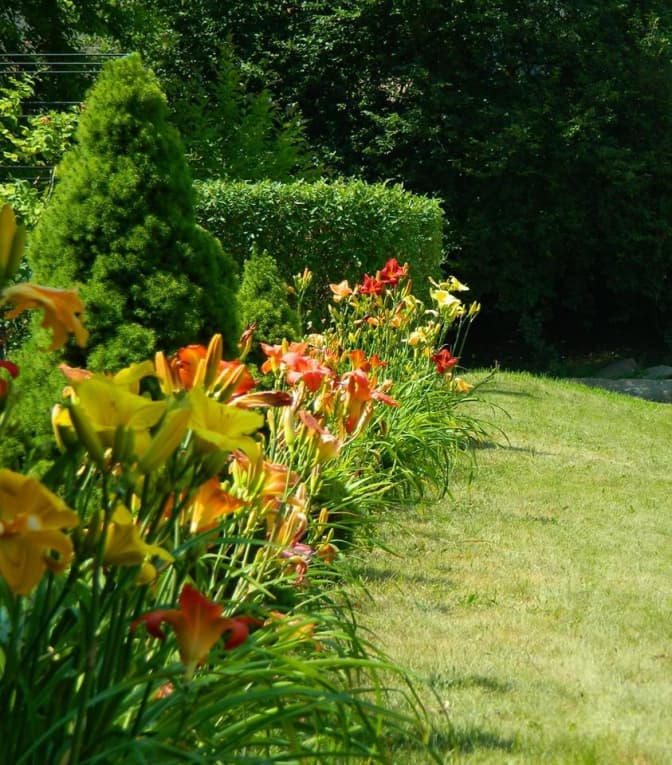 Львів'ян запрошують в ботанічний сад подивитися на квіти, що цвітуть лише один день