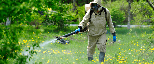 Фото умовне