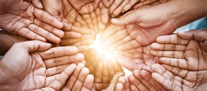 Фото: Freemanwebb