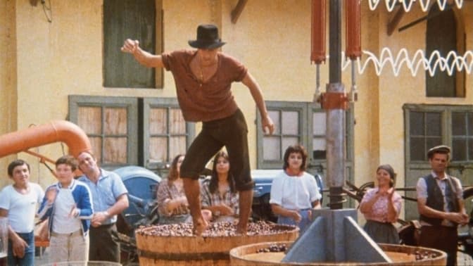 У Львові відбудеться велике «Італійське весілля». Програма фестивалю