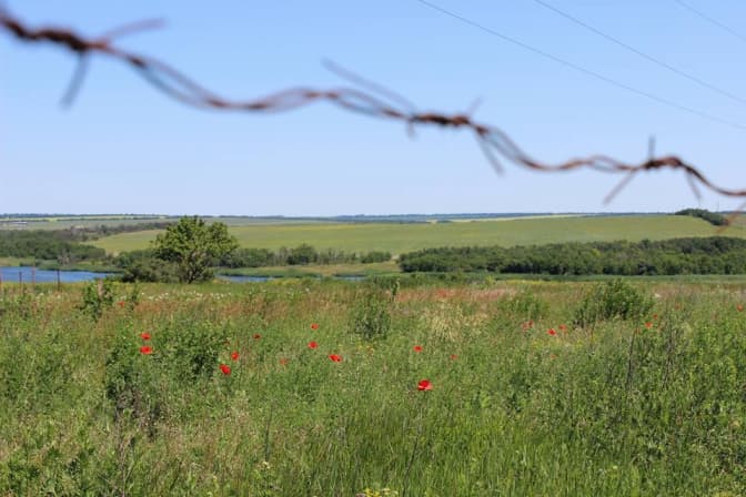 Так, я сплю українською. Чому я не соромлюсь своєї двомовності