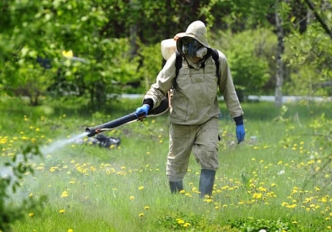 Львів'ян просять не відвідувати парки через обробку від кліщів