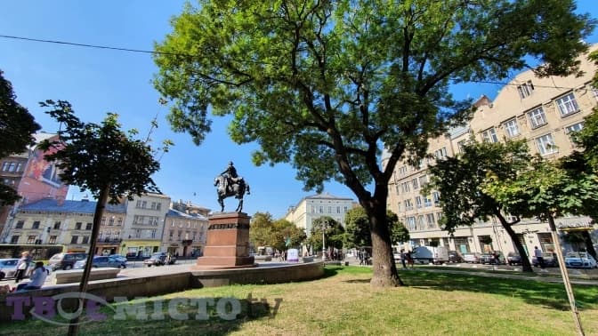 Як зарадити руйнуванню дерев у місті та де у Львові можуть збудувати нові готелі. Підсумки доби
