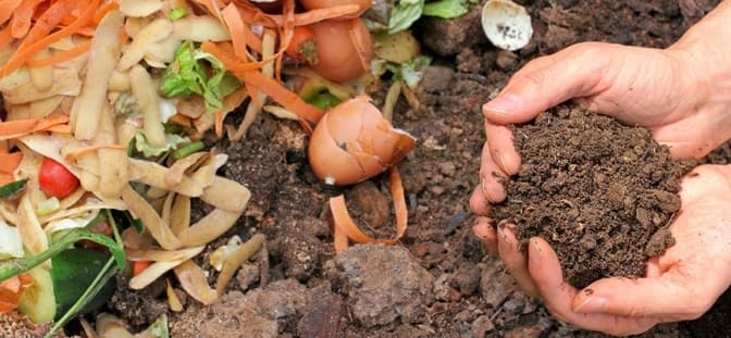 Львів’ян закликають не спалювати опале листя, а здавати на компостування
