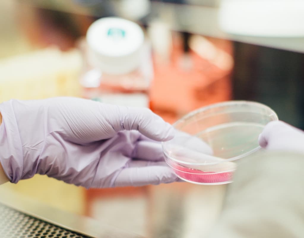 Менше черг, більше пацієнтів. Що змінила медреформа у Львові